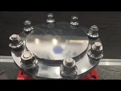 100-125 r/min değerli tork Hidrolik motor dökme demir ağırlığı 30-110KG